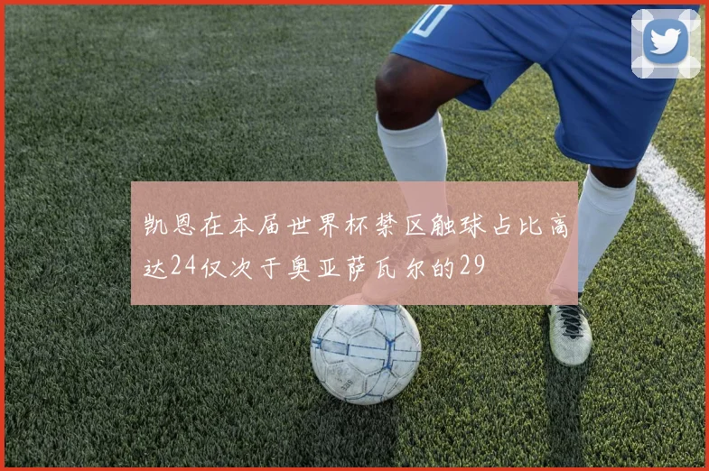凯恩在本届世界杯禁区触球占比高达24仅次于奥亚萨瓦尔的29