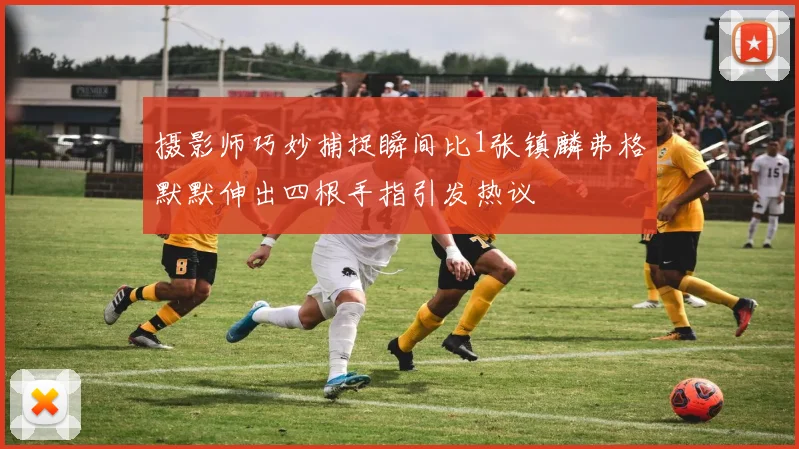 摄影师巧妙捕捉瞬间比1张镇麟弗格默默伸出四根手指引发热议
