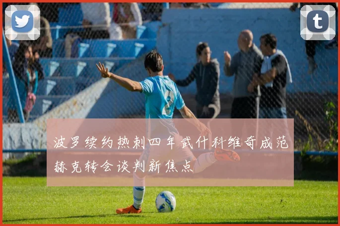 波罗续约热刺四年武什科维奇成范赫克转会谈判新焦点